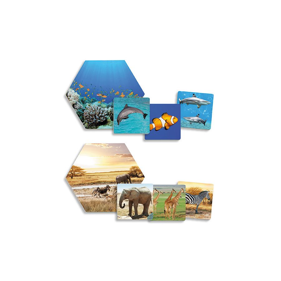 Jeu Habitats des Animaux AKROS | Découverte Nature 3-6 ans