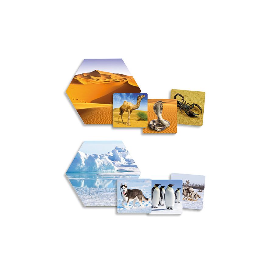 Jeu Habitats des Animaux AKROS | Découverte Nature 3-6 ans