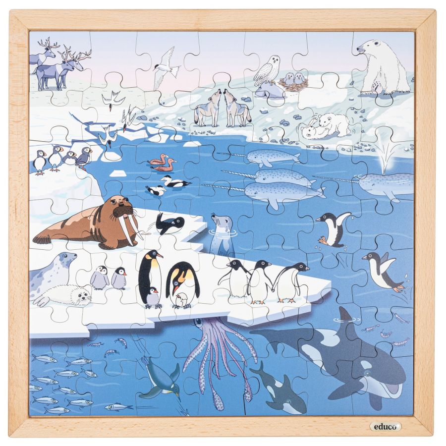 Puzzle Animaux Polaires | Jeu Vocabulaire Enfant 4 ans+