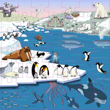 Puzzle Animaux Polaires | Jeu Vocabulaire Enfant 4 ans+