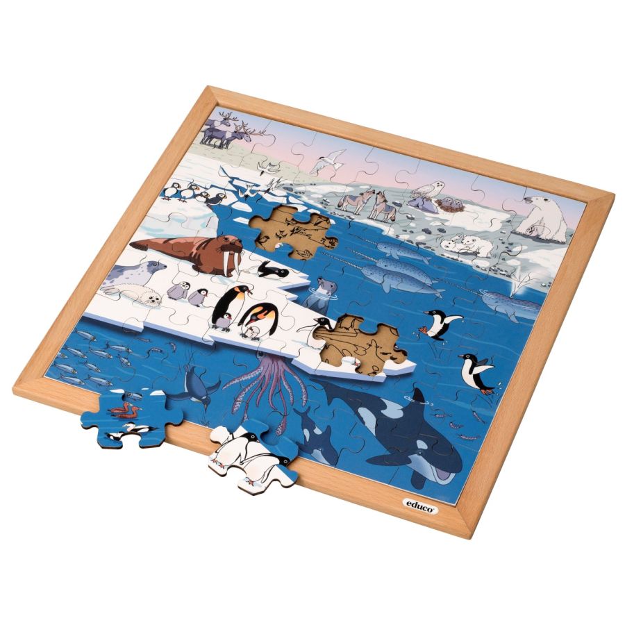 Puzzle Animaux Polaires | Jeu Vocabulaire Enfant 4 ans+