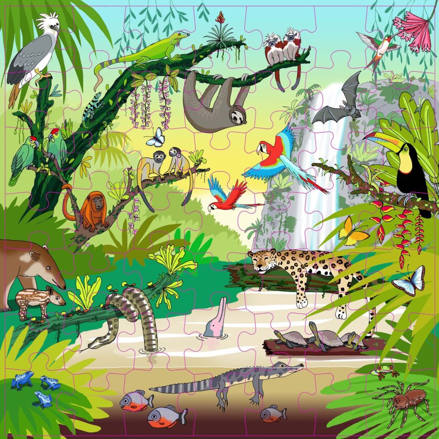 Puzzle les animaux de la Forêt Tropicale | Jeu Vocabulaire Enfant 4 ans+