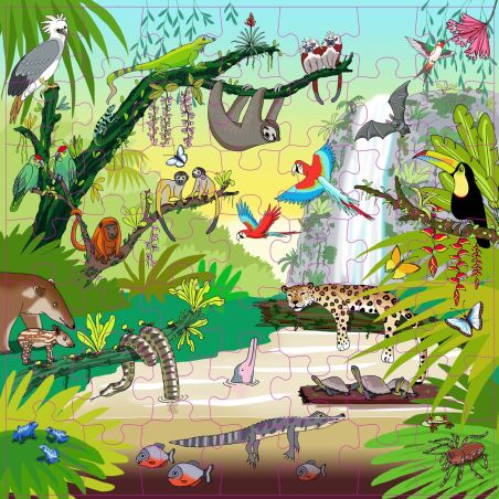 Puzzle les animaux de la Forêt Tropicale | Jeu Vocabulaire Enfant 4 ans+