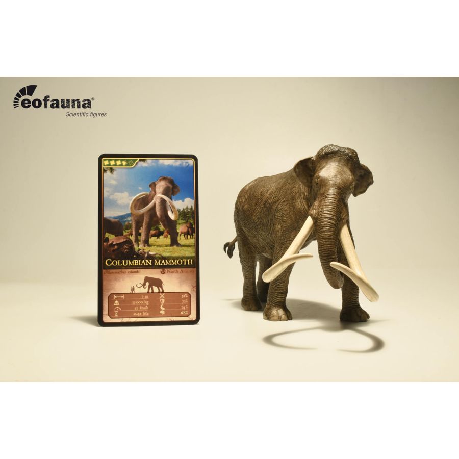 Mammouth de Colomb Eofauna | Mammuthus columbi 1:35 | Collection Premium