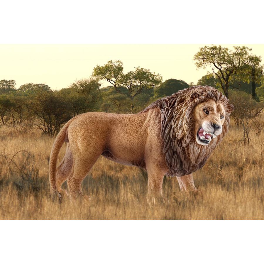 Lion Rugissant Schleich | Figurine Roi de la Savane | 10,7cm Réaliste