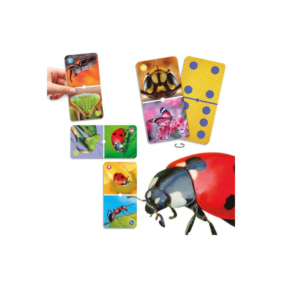 Natudomino des Insectes | Jeu Éducatif Entomologie 4-8 ans | LesMinis.fr