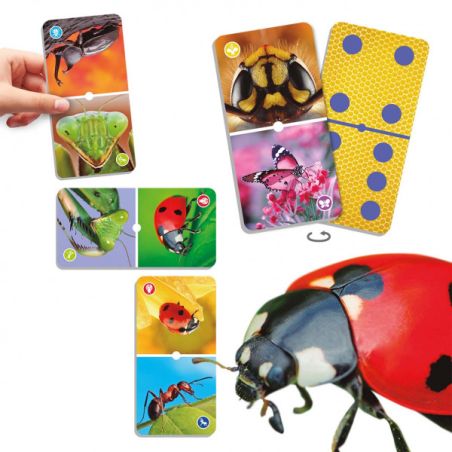 Natudomino des Insectes | Jeu Éducatif Entomologie 4-8 ans | LesMinis.fr
