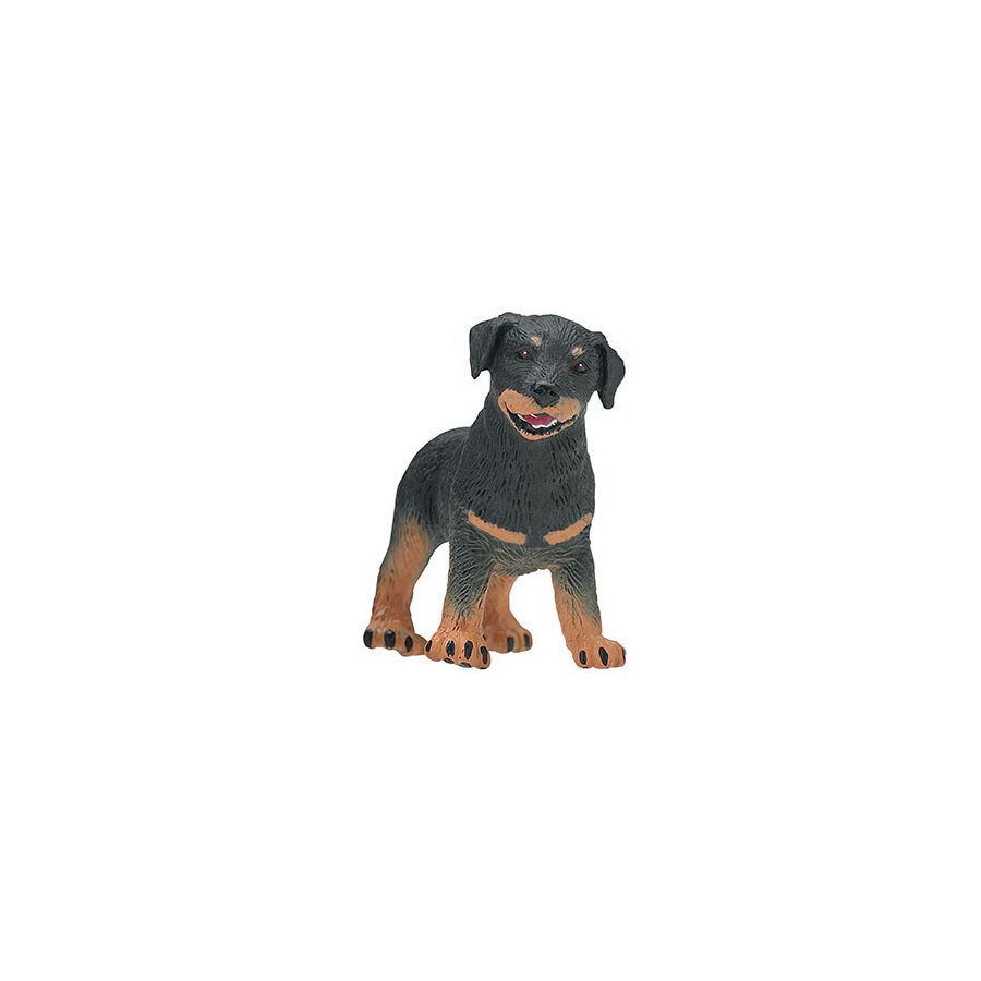 Rottweiler Chiot Safari Ltd 239229