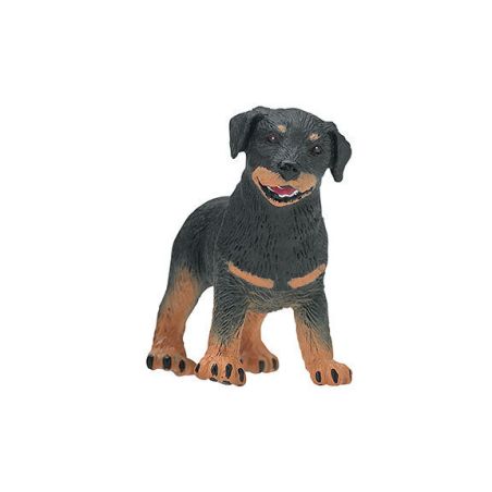Rottweiler Chiot Safari Ltd 239229