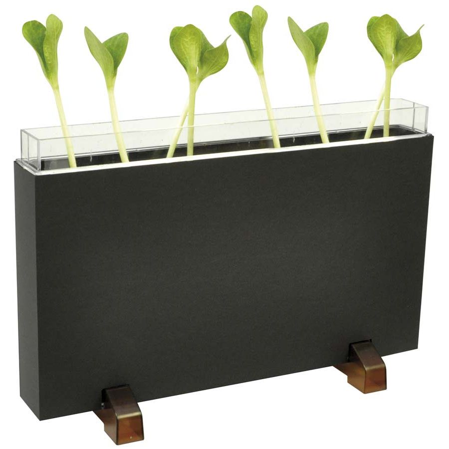 Vivarium Observation Racines et Vers de Terre - Explorateur de Sol