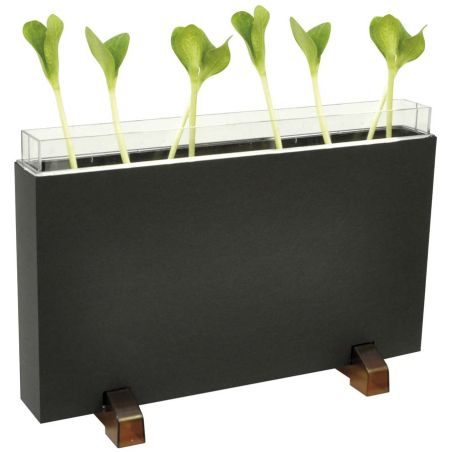 Vivarium Observation Racines et Vers de Terre - Explorateur de Sol