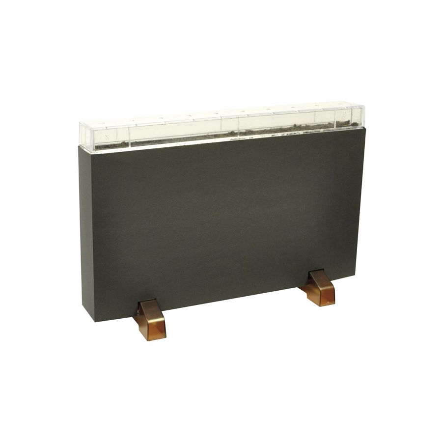 Vivarium Observation Racines et Vers de Terre - Explorateur de Sol