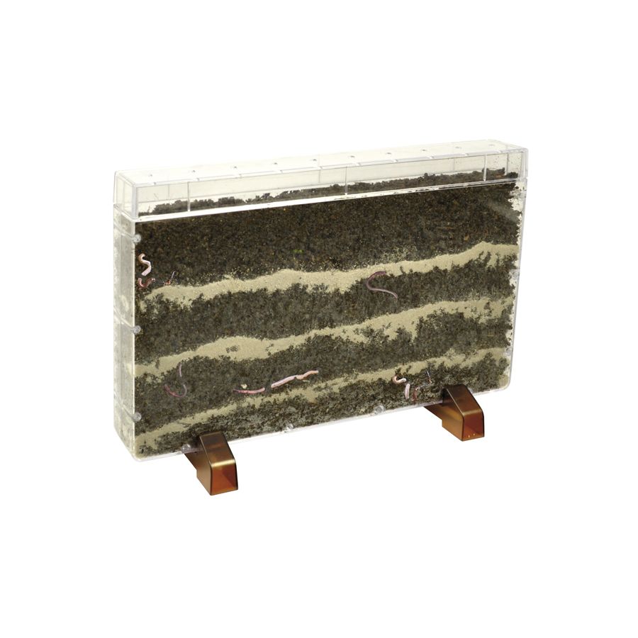 Vivarium Observation Racines et Vers de Terre - Explorateur de Sol