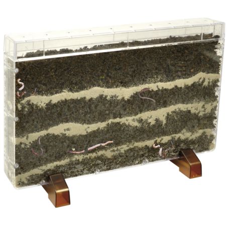 Vivarium Observation Racines et Vers de Terre - Explorateur de Sol