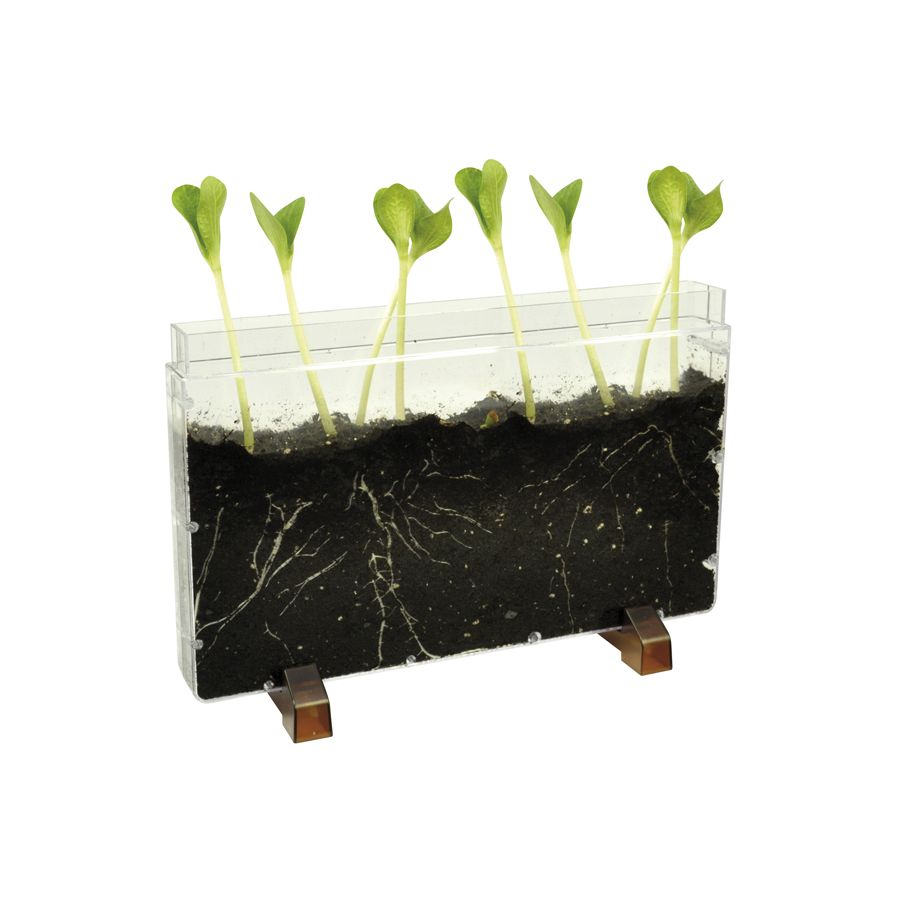 Vivarium Observation Racines et Vers de Terre - Explorateur de Sol