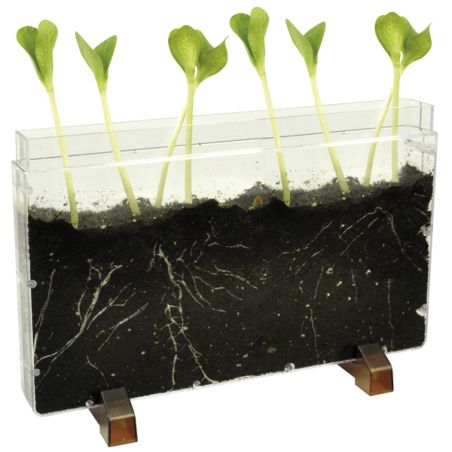 Vivarium Observation Racines et Vers de Terre - Explorateur de Sol