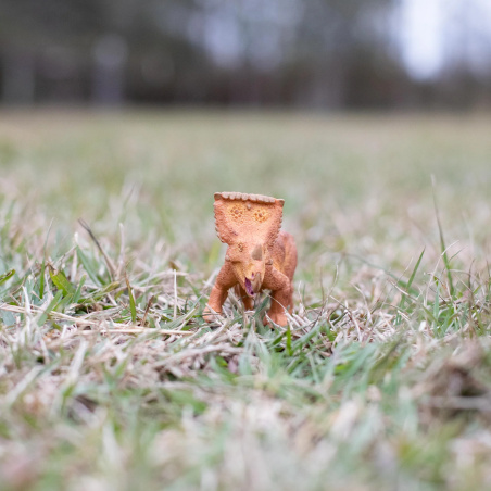 Figurine Vagaceratops – Préhistoire et dinosaure - Safari Ltd® 301829 | Jouet réaliste | Matériel pédagogiqueAnimaux M