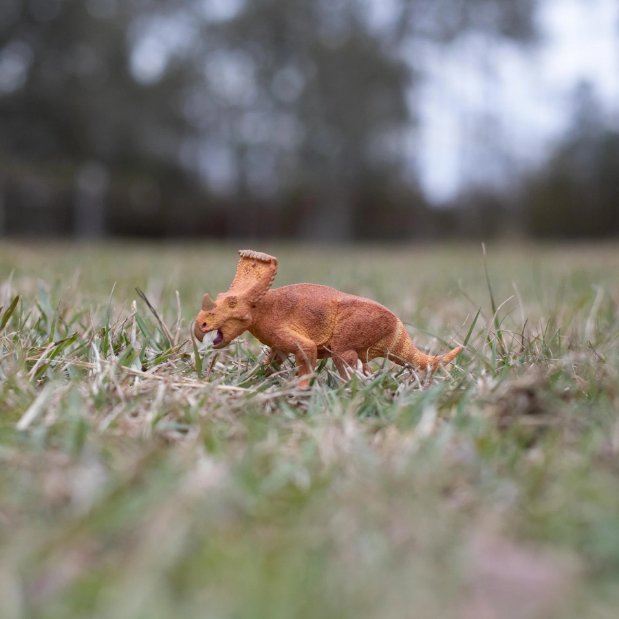 Figurine Vagaceratops – Préhistoire et dinosaure - Safari Ltd® 301829 | Jouet réaliste | Matériel pédagogiqueAnimaux M