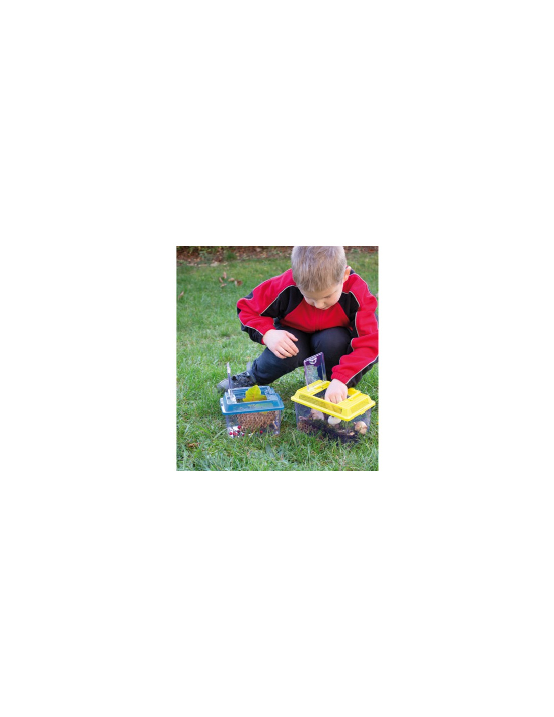 Boîte De Présentation Pour Spécimens – Bois Avec Tapis EVA Et Couvercle Transparent – Anti-poussière 31x22x4 Cm