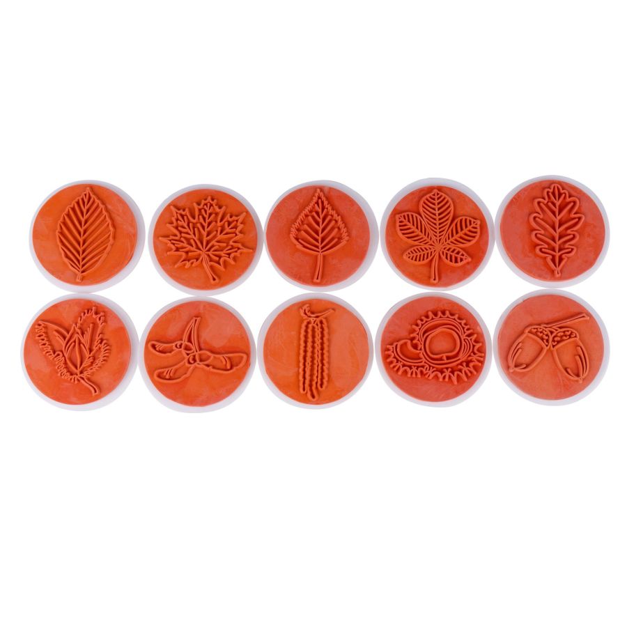 Tampons de nature : apprenez les arbres, leurs feuilles et leurs fruits