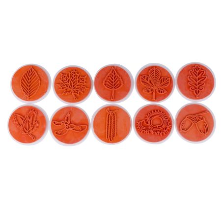 Tampons de nature : apprenez les arbres, leurs feuilles et leurs fruits