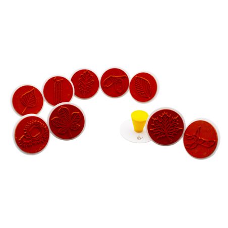 Tampons de nature : apprenez les arbres, leurs feuilles et leurs fruits