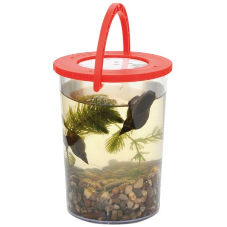 Gobelet Loupe d'Exploration - Découverte de la Nature pour Enfants