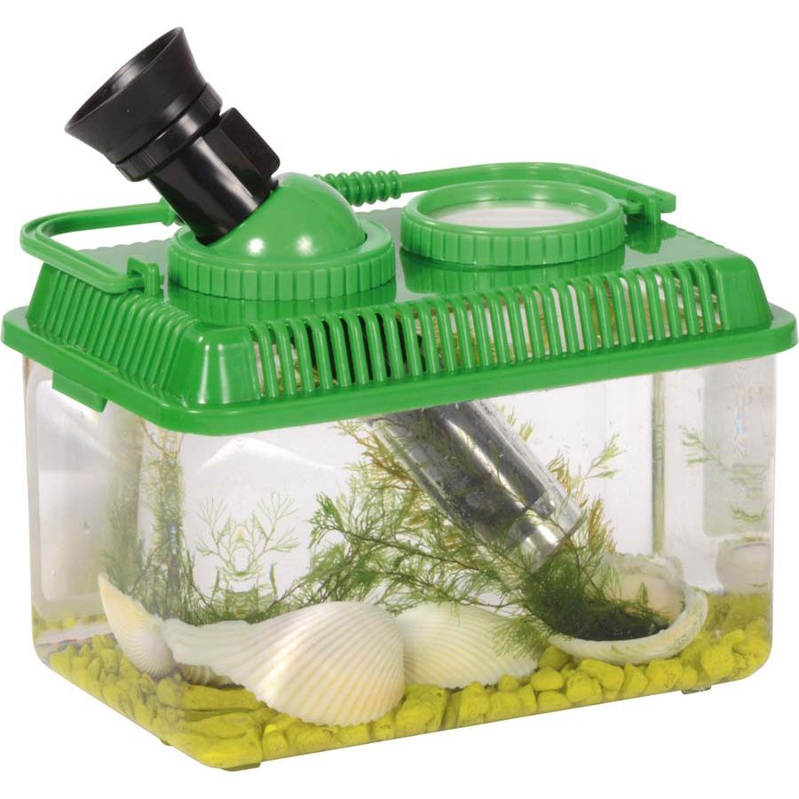 Boîte d'exploration avec loupe mobile Regarder insectes poissons