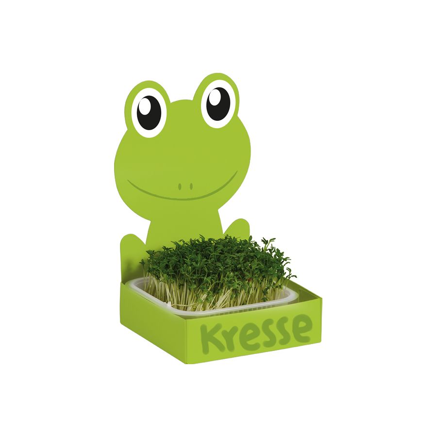 Ensemble de 27 kits à semis avec grenouille, lapin et princesse à customiser - Activité jardinage germoir