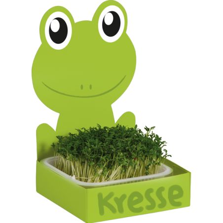 Ensemble de 27 kits à semis avec grenouille, lapin et princesse à customiser - Activité jardinage germoir