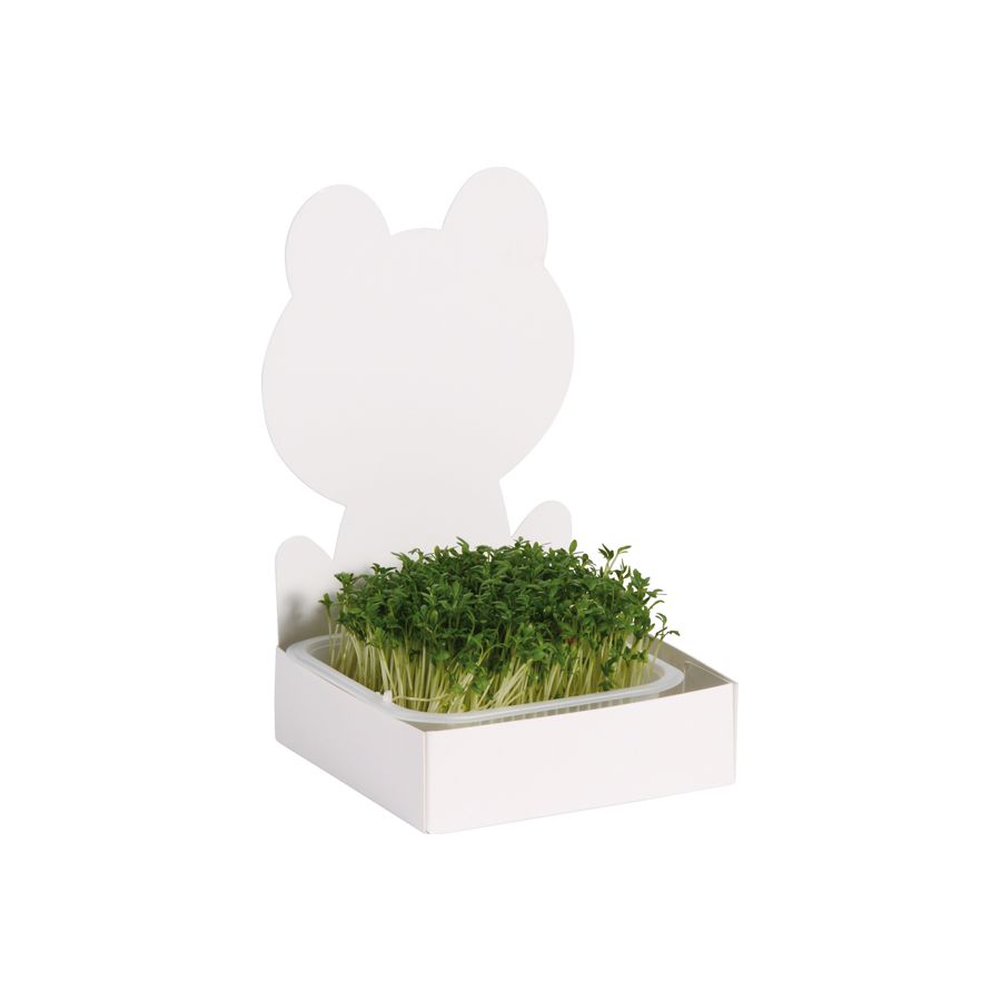 Ensemble de 27 kits à semis avec grenouille, lapin et princesse à customiser - Activité jardinage germoir