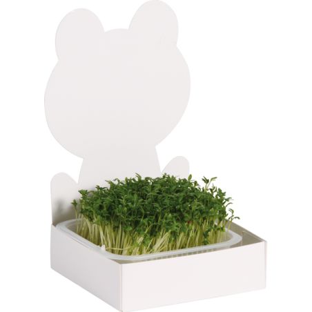 Ensemble de 27 kits à semis avec grenouille, lapin et princesse à customiser - Activité jardinage germoir