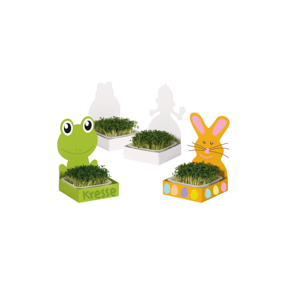 Ensemble de 27 kits à semis avec grenouille, lapin et princesse à customiser - Activité jardinage germoir