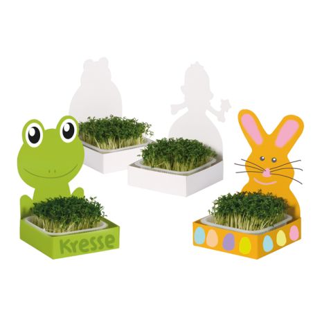 Ensemble de 27 kits à semis avec grenouille, lapin et princesse à customiser - Activité jardinage germoir