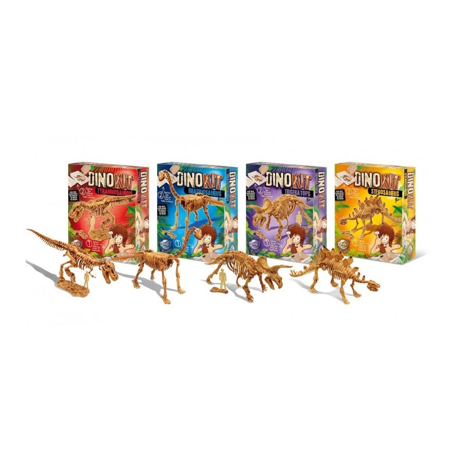 DinoKit Stegosaure Buki - Kit Fouille Archéologique Dinosaure pour Enfants 8 ans+