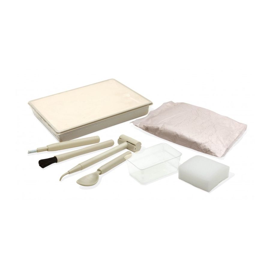 DinoKit Stegosaure Buki - Kit Fouille Archéologique Dinosaure pour Enfants 8 ans+