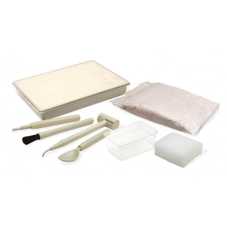DinoKit Stegosaure Buki - Kit Fouille Archéologique Dinosaure pour Enfants 8 ans+