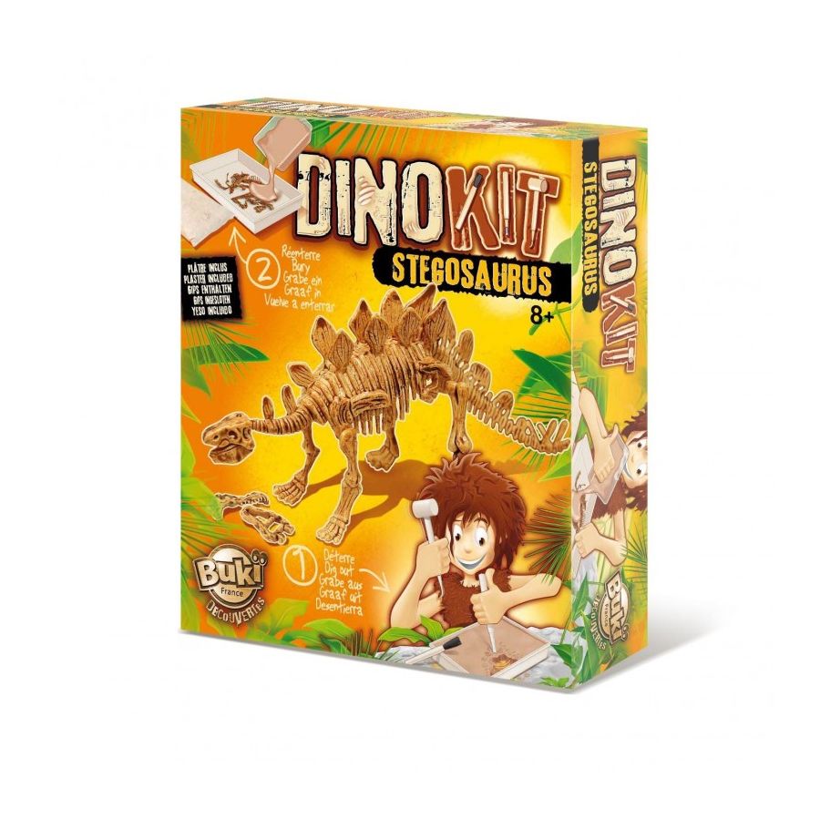 DinoKit Stegosaure Buki - Kit Fouille Archéologique Dinosaure pour Enfants 8 ans+