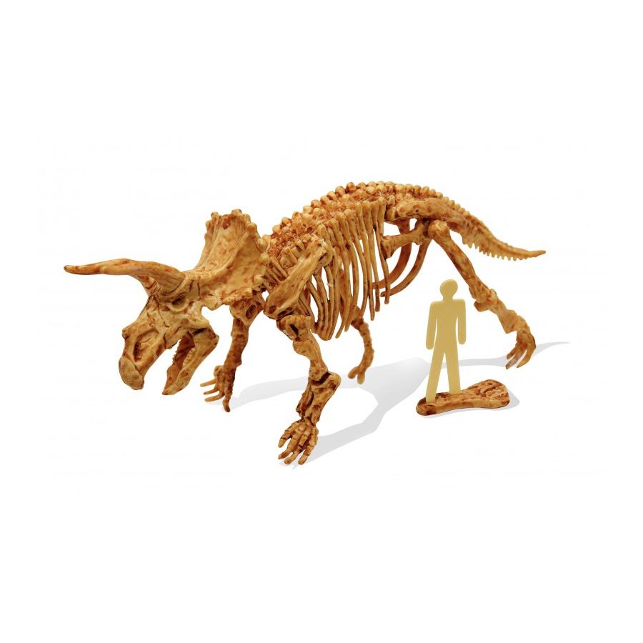 DinoKit Tricératops Buki - Kit de Fouille Paléontologique pour Enfants 8+ | LesMinis