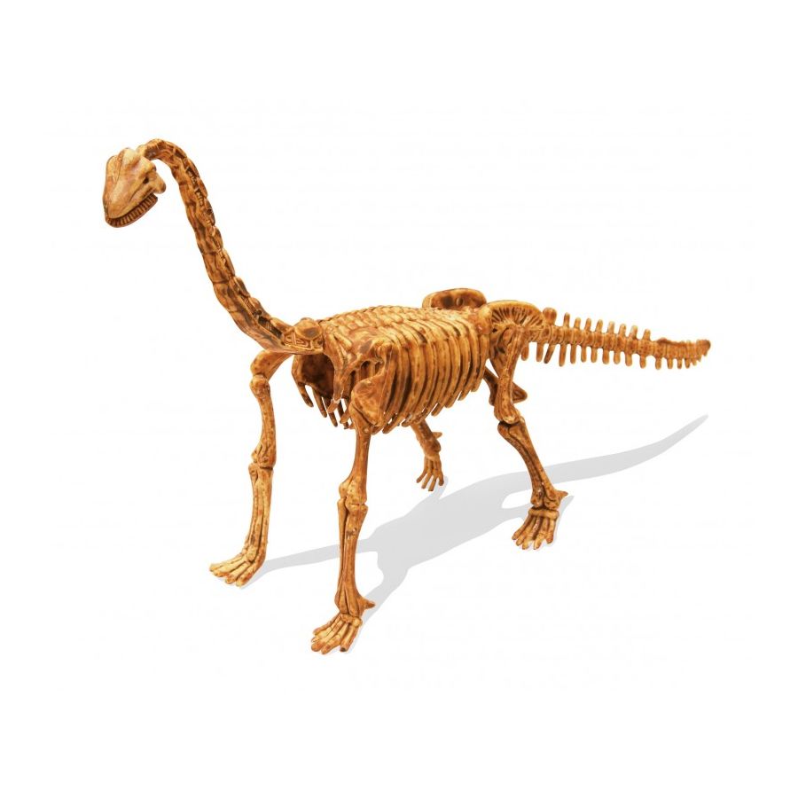 DinoKit Brachiosaure Buki - Kit de Fouille Paléontologique pour Enfants 8+ | LesMinis