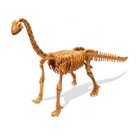 DinoKit Brachiosaure Buki - Kit de Fouille Paléontologique pour Enfants 8+ | LesMinis
