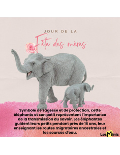 Duo Éléphant d'Asie et Éléphanteau Safari Ltd® - Cadeau Fête des Mères