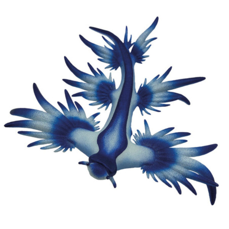 Dragon Bleu Glaucus atlanticus | Figurine Marine Bullyland 67511