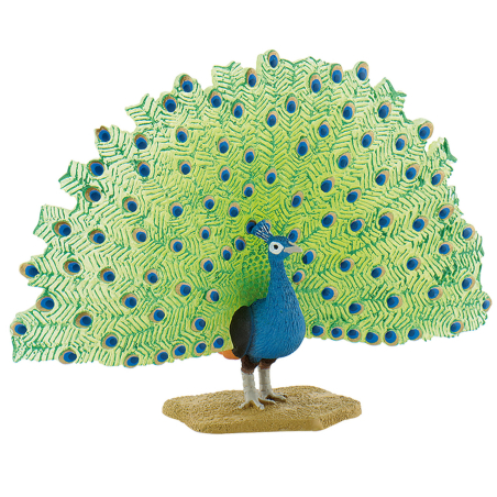 Paon bleu Pavo cristatus | Figurine Bullyland 69390