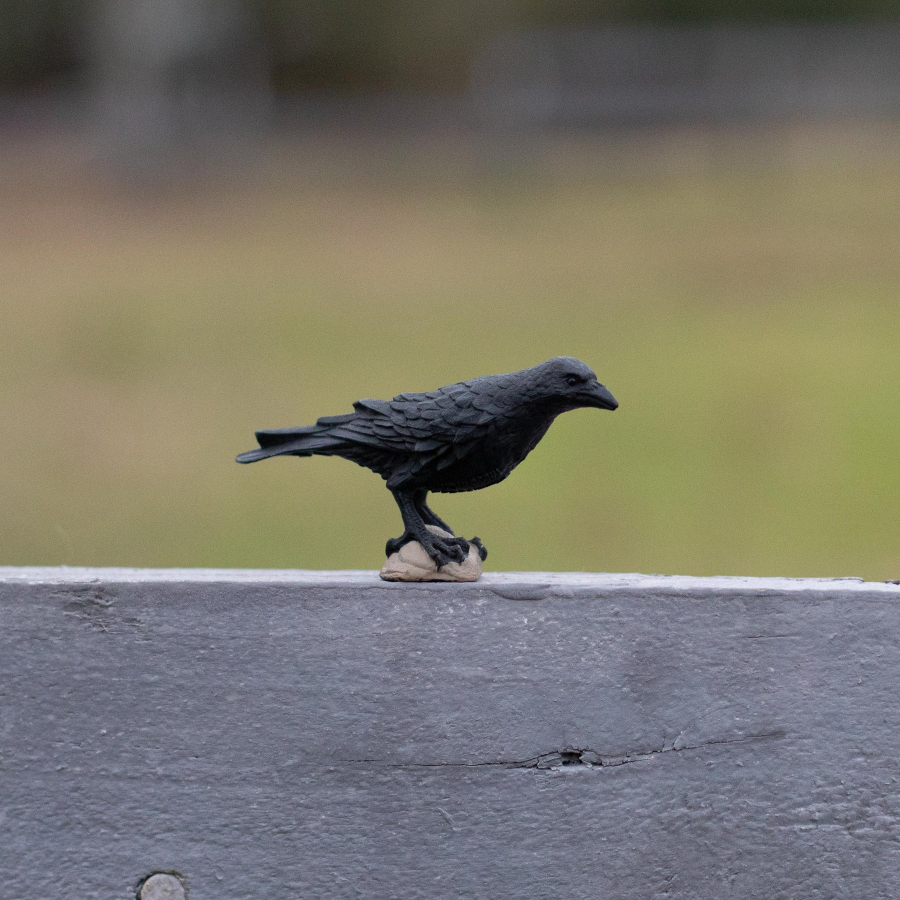 Figurine Corbeau – oiseau - Safari Ltd® 150829 | Jouet réaliste | Matériel pédagogiqueAnimaux Montessori