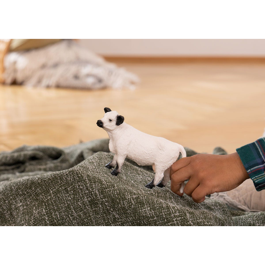 Vache Galloway Schleich 13960 - Bovin écossais résistant ferme collection