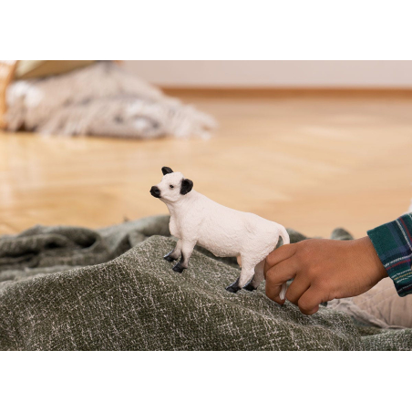 Vache Galloway Schleich 13960 - Bovin écossais résistant ferme collection