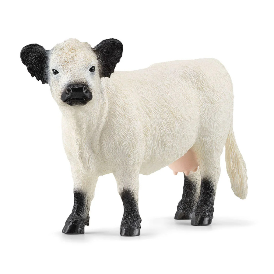 Vache Galloway Schleich 13960 - Bovin écossais résistant ferme collection