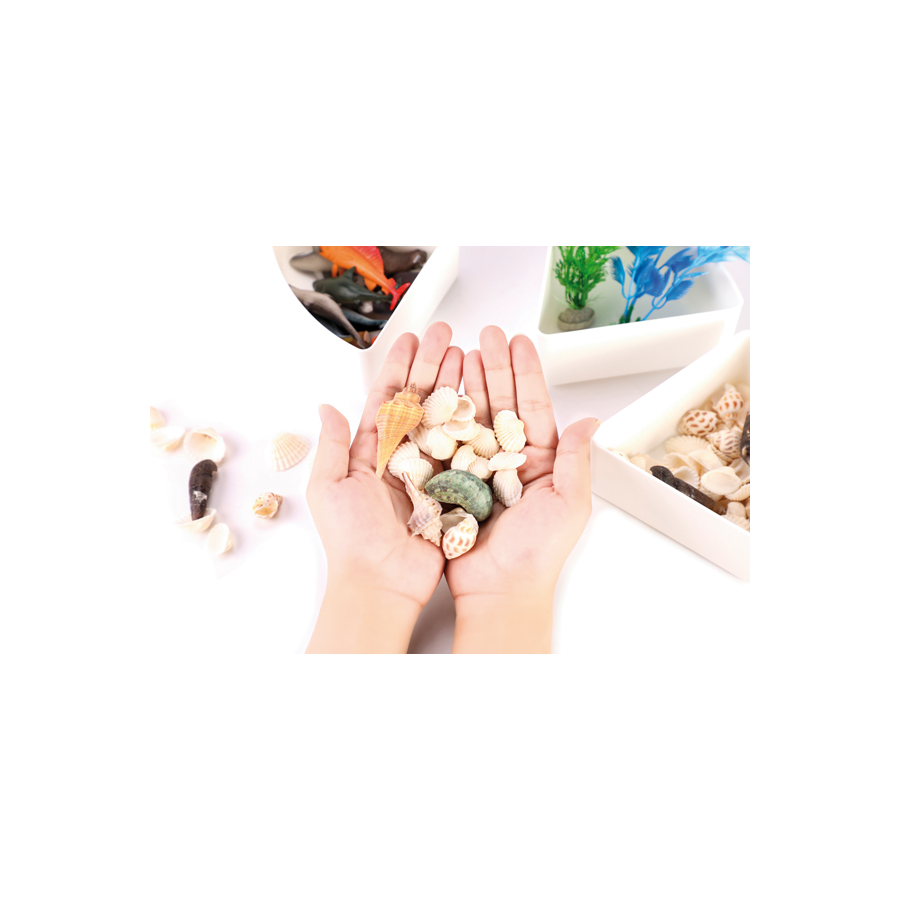 Bac d’exploration Mer – Sensoriel animaux marins, galets, mousse