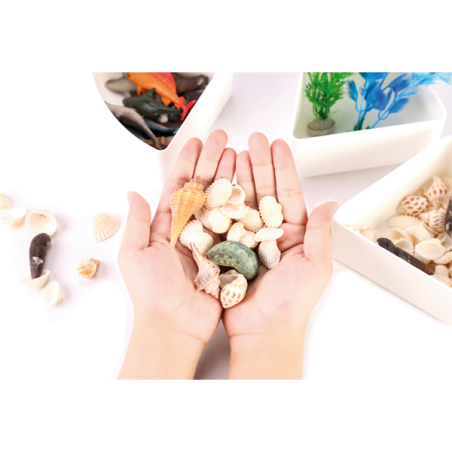 Bac d’exploration Mer – Sensoriel animaux marins, galets, mousse